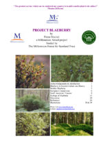 Cover of the Project Blaberry report (Fiona Sinclair 2001)